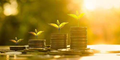 Money growing concept